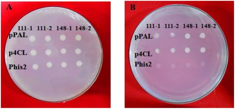 FIGURE 9