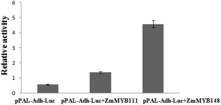 FIGURE 10