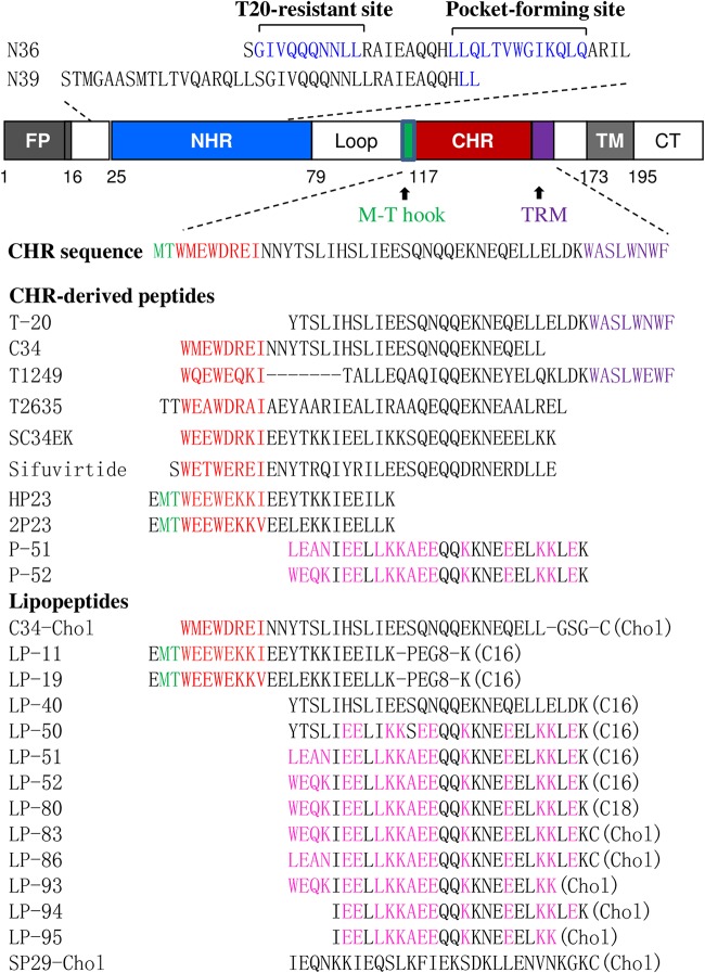 FIG 1