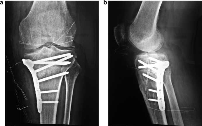 Fig. 8