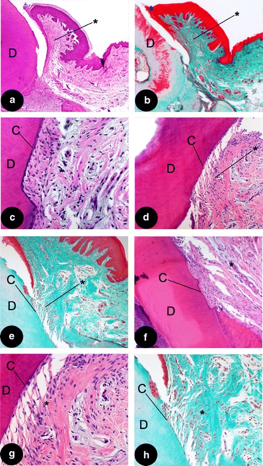 Fig. 4