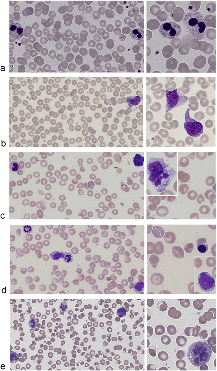 Fig. 2