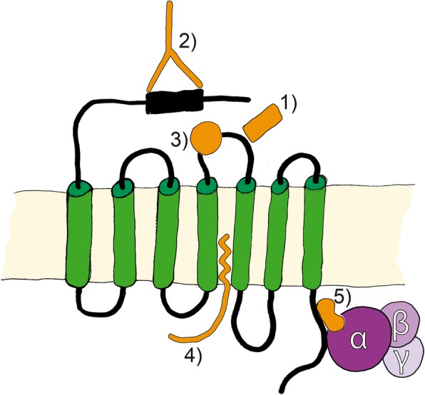 Fig. 6