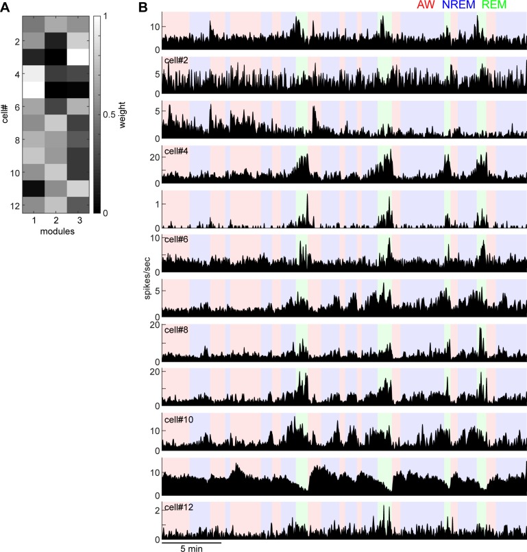 Figure 4—figure supplement 1.