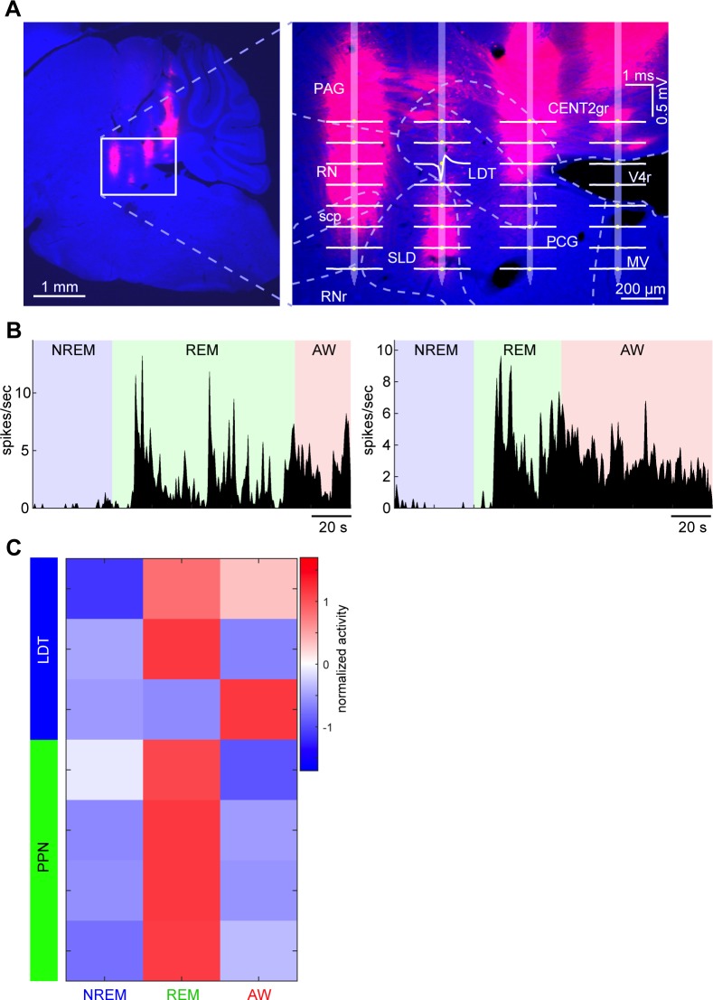 Figure 2—figure supplement 1.