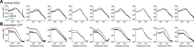 Figure 1—figure supplement 2.