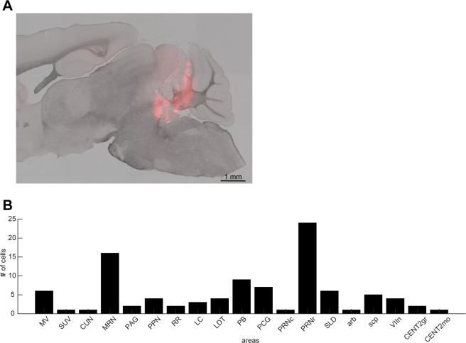 Figure 1—figure supplement 1.