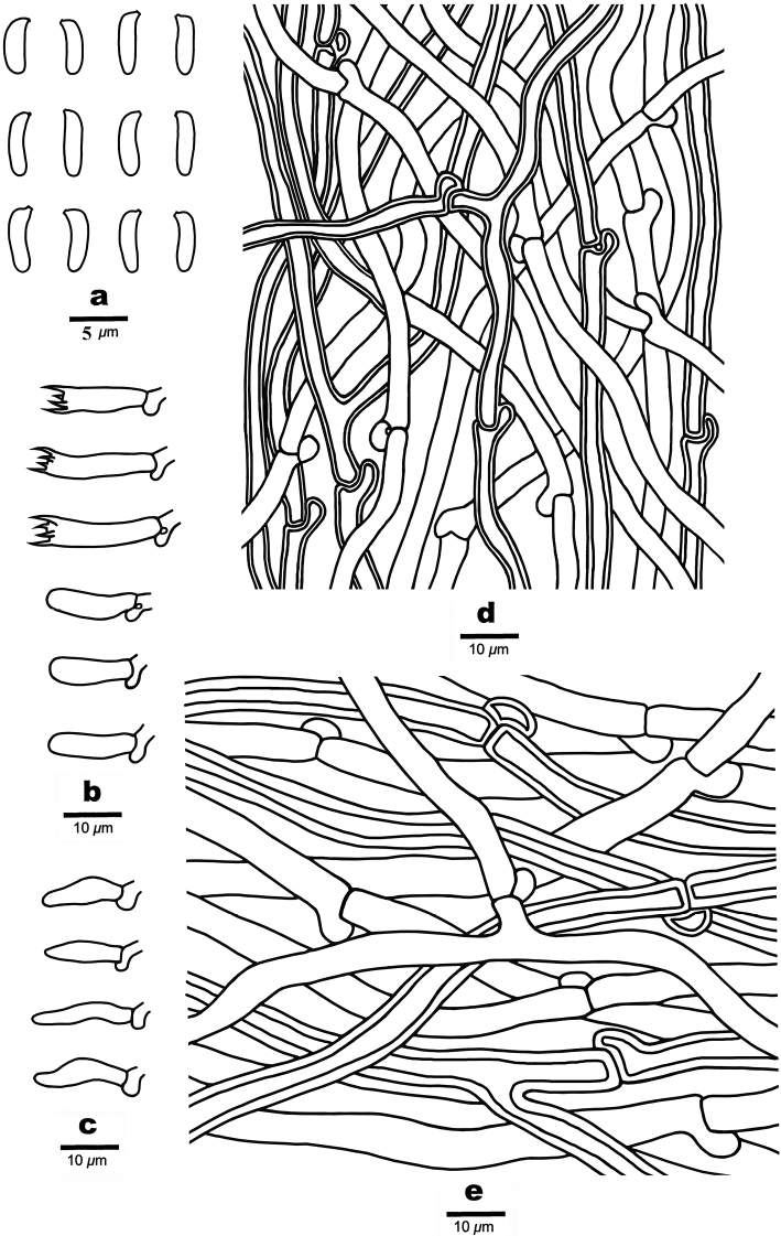 Figure 11.