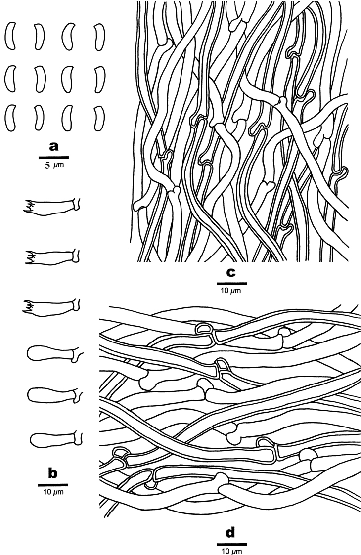 Figure 7.