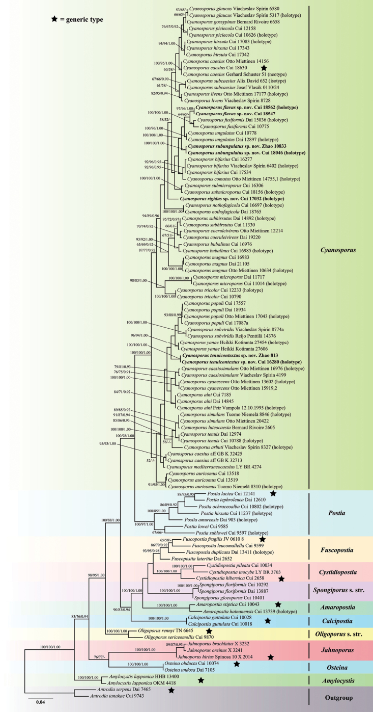 Figure 3.