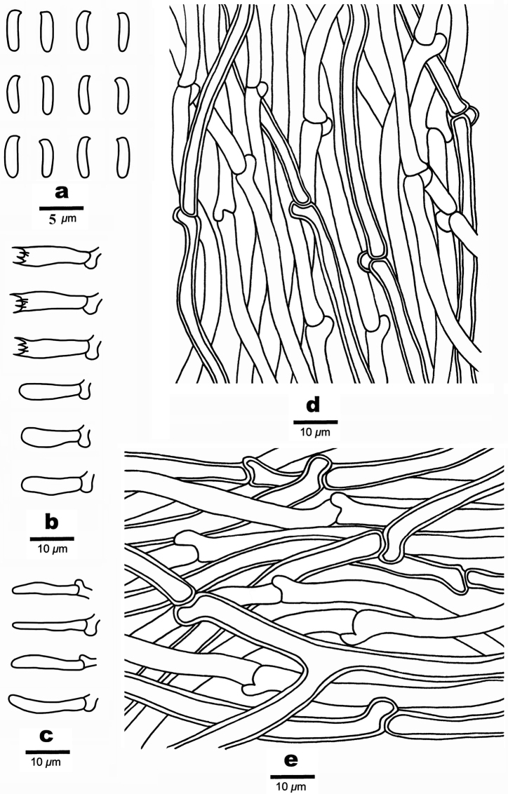 Figure 5.