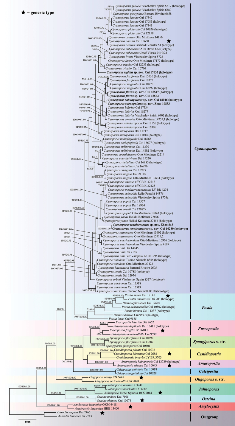 Figure 2.