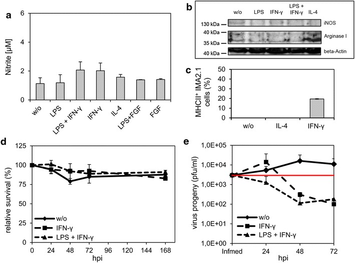 Figure 6