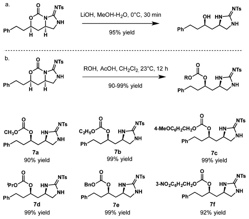 Scheme 3