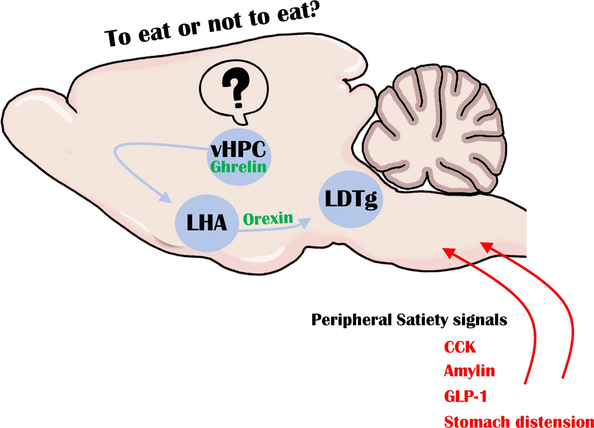 Figure 1: