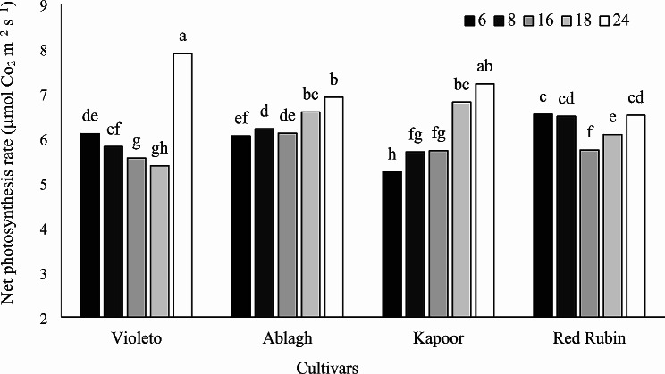 Fig. 2