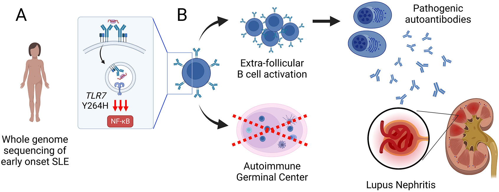 Figure 1: