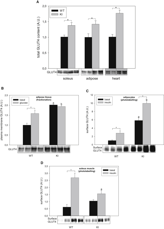 Figure 6