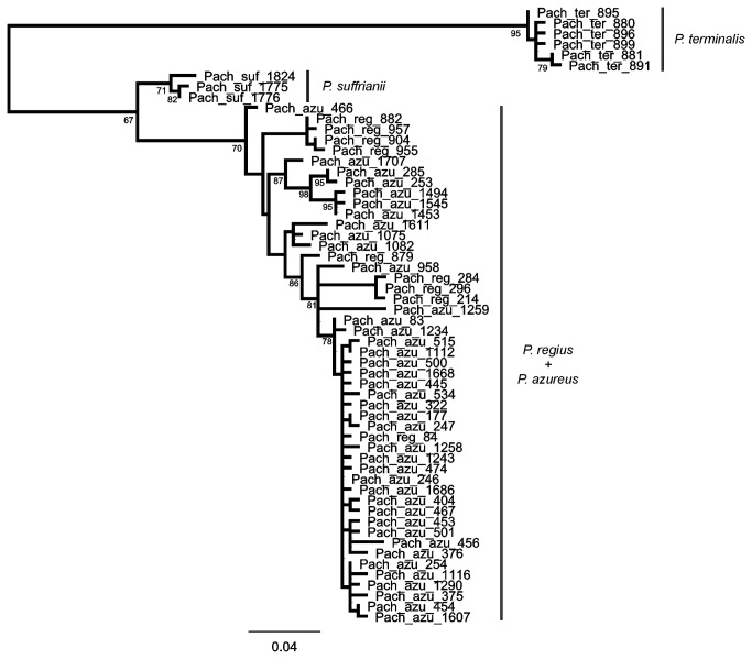 Figure 5