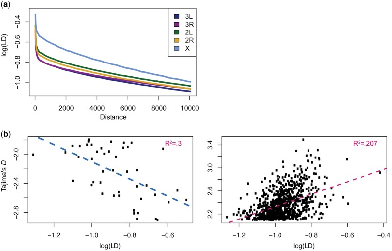 Fig. 3.—