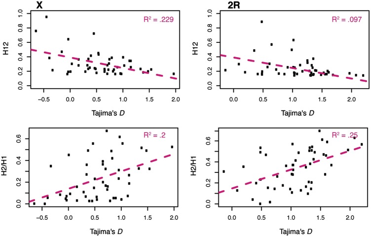 Fig. 7.—