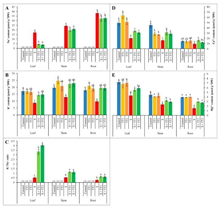 Figure 7