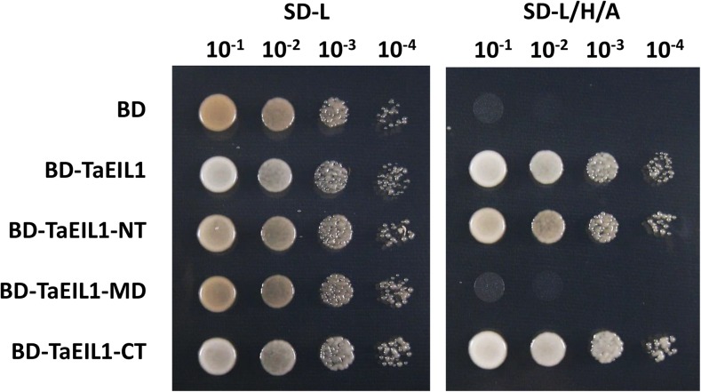 Figure 5.