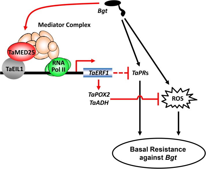 Figure 10.