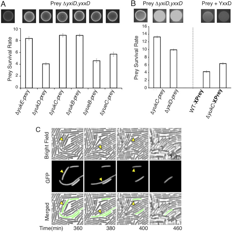 FIG 1