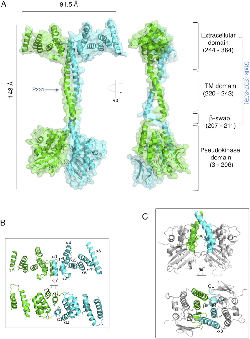 FIG 3