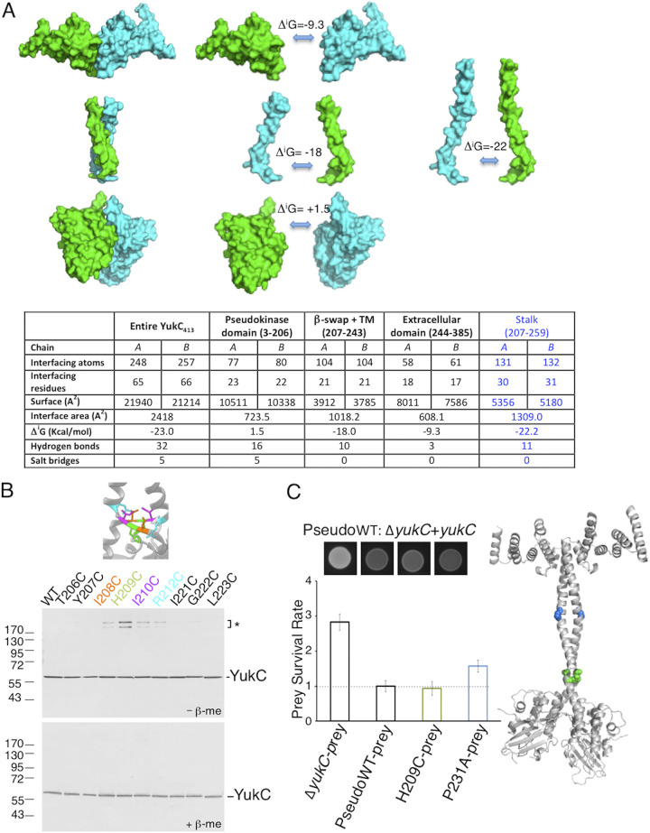 FIG 4