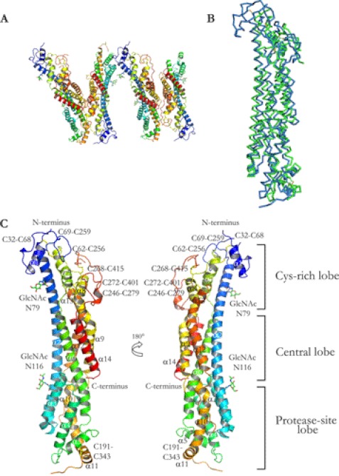 FIGURE 2.