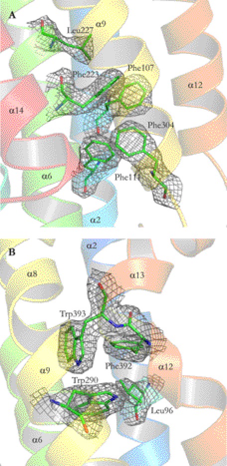 FIGURE 4.