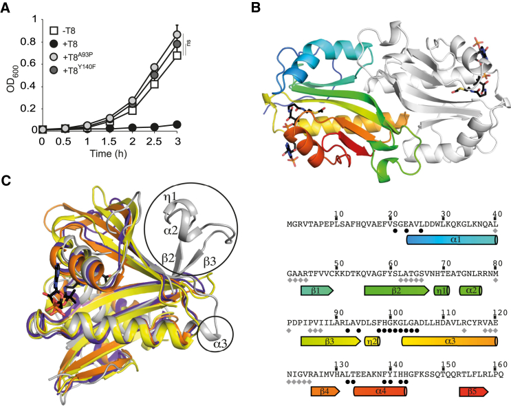 Figure 2