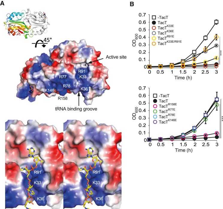 Figure 4