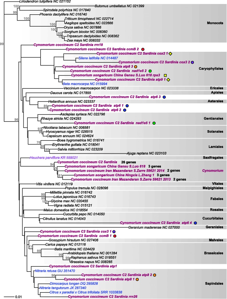 Fig. 6.—