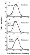 FIG. 3