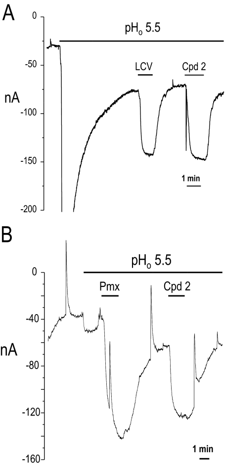 Fig. 6.