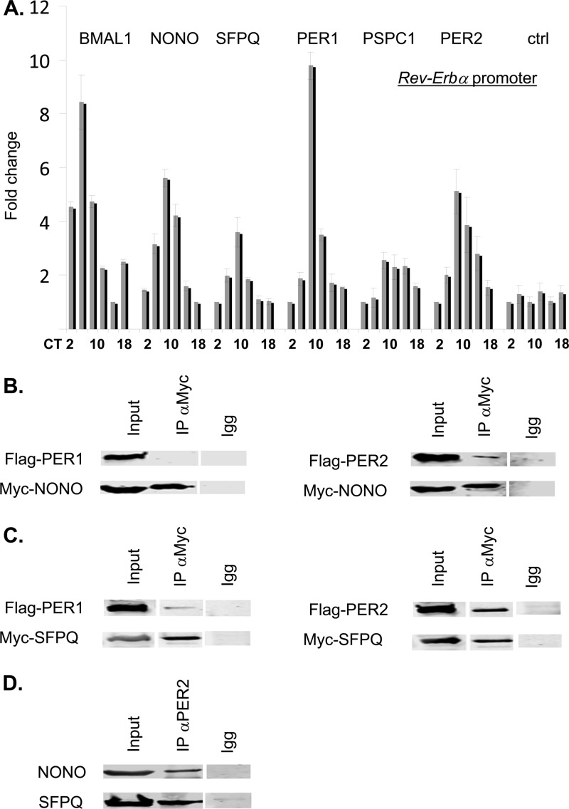 Fig 6