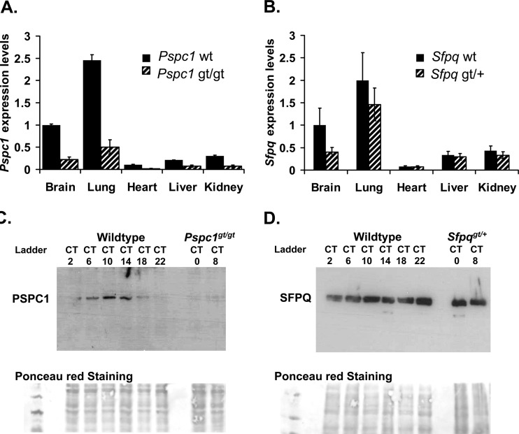 Fig 8