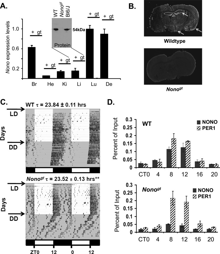 Fig 1