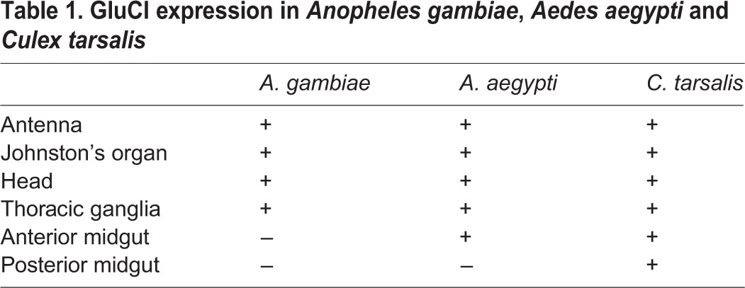 graphic file with name jexbio-218-118596-i1.jpg