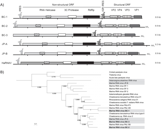 FIG 1