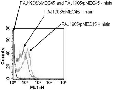 FIG. 4.