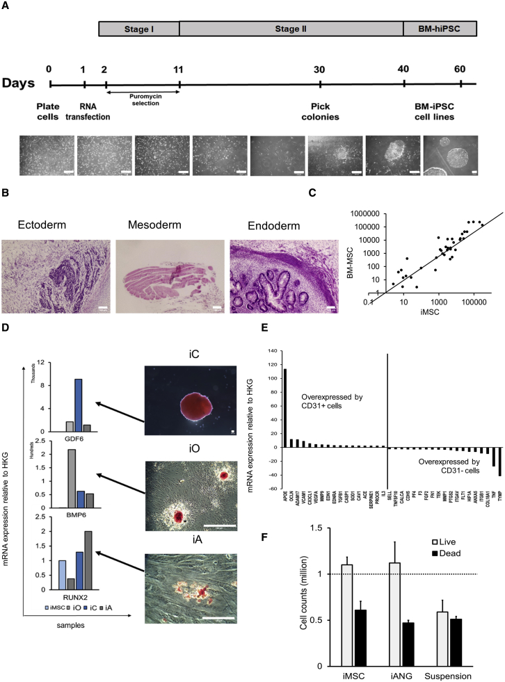 Figure 1