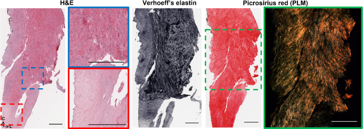 Fig. 10