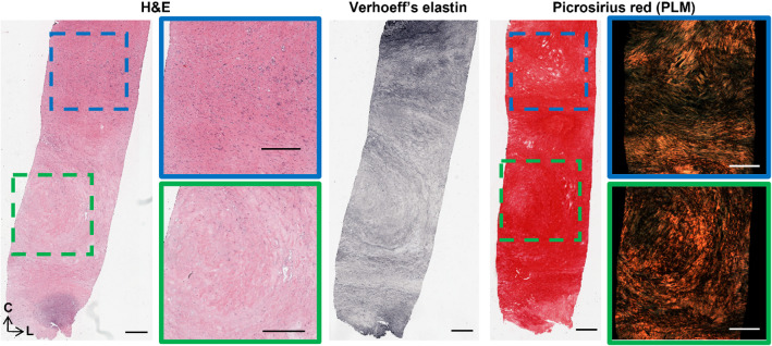 Fig. 9