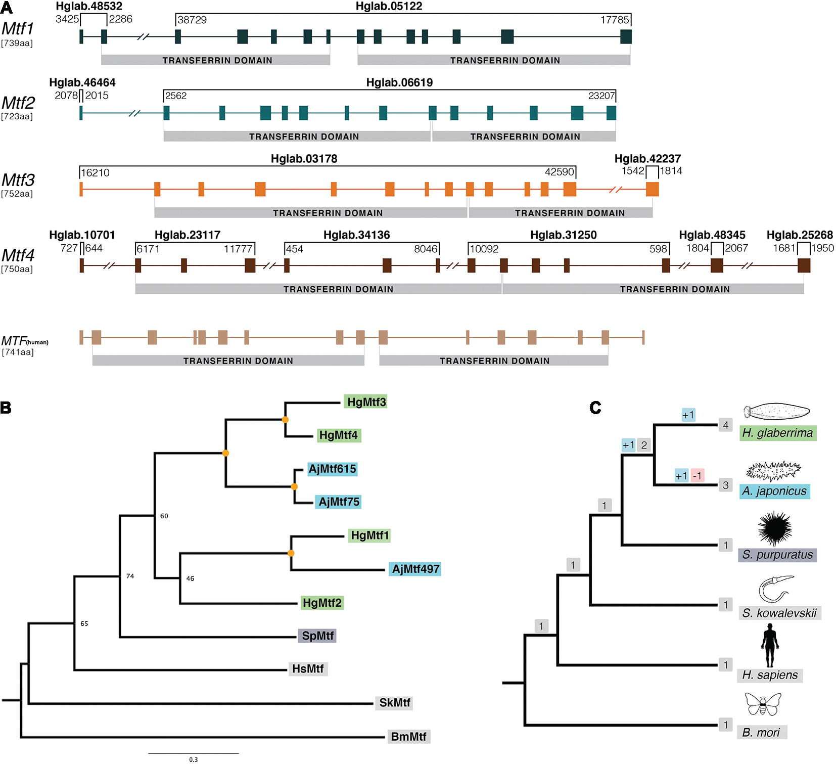 FIGURE 2 |