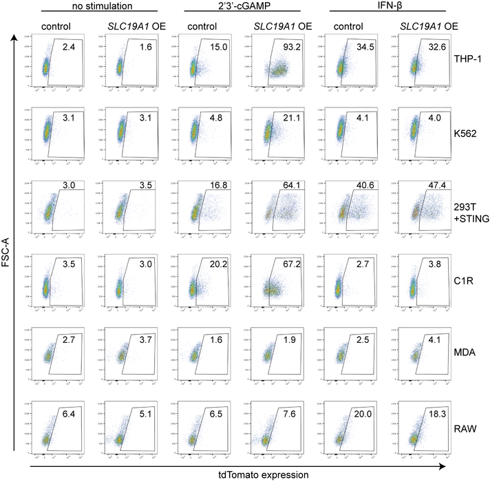 Extended Data Figure 4.