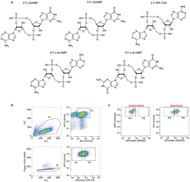 Extended Data Figure 1.